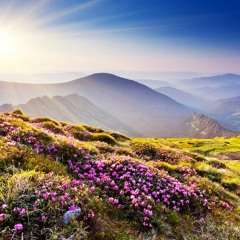 Uplifting Trance Mix - August 2023