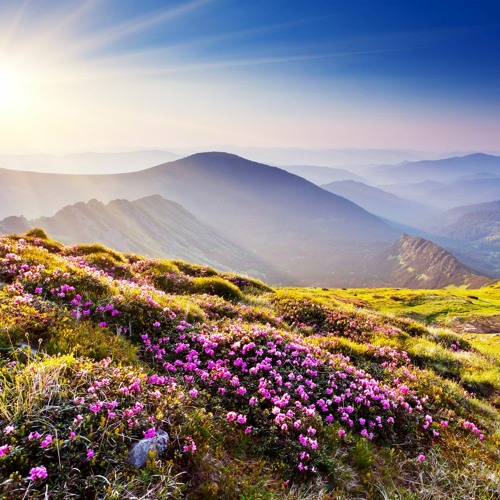 Uplifting Trance Mix - August 2023