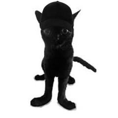 When your pizza rolls are done