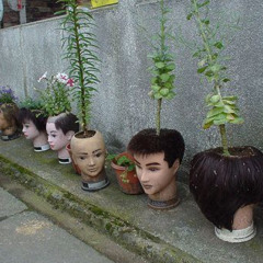 12/26/2025prod,club9ine 16 20 0 18 0 7 8