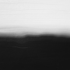 Sé dónde van los patos cuando se congela el lago