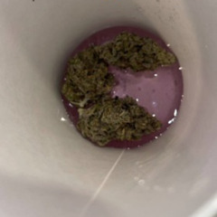 TASTE FT LILGZ (Prod. Wishs)