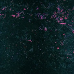 CLA Series 001 - Forever Monna