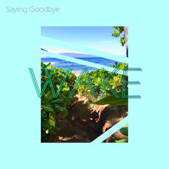Saying Goodbye