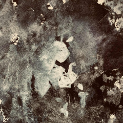 TREATd12 - Trismus - A Walk in The Concrete Field EP