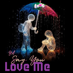 Say You Love Me