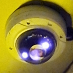 Freedom of Expression