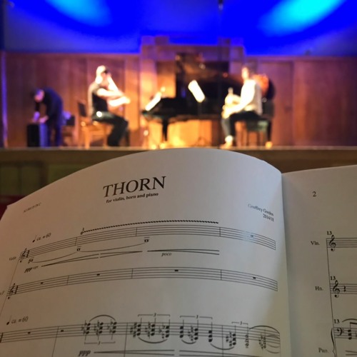 GORDON -  THORN (for violin, horn and piano)