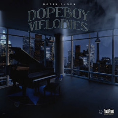 Robin Banks - A Dope Boys Melody