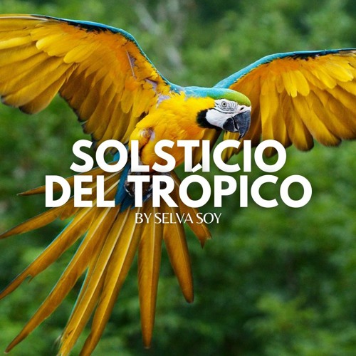 SOLSTICIO DEL TRÓPICO BY SELVA SOY