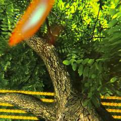 Sazón & Titus - Don't