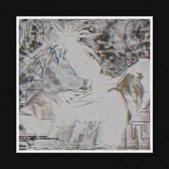 SXLID FISTS (PROD. PLURBS X PXLSDEAD)