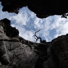 orientering med fokus på indre og ydre sansning. kropsliv.dk.mp3