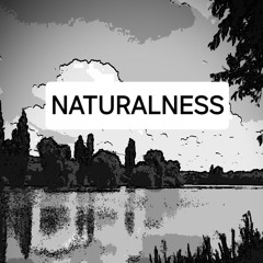Naturalness