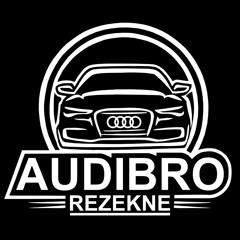 Audi Bro