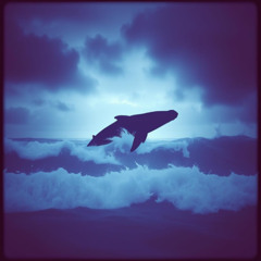 The Sign of Jonah