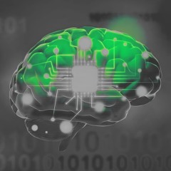 LePamp - Kompulsiv 145