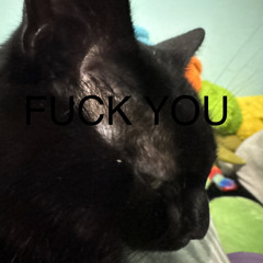 hateacats? - asteria x kets4eki (unreleased)