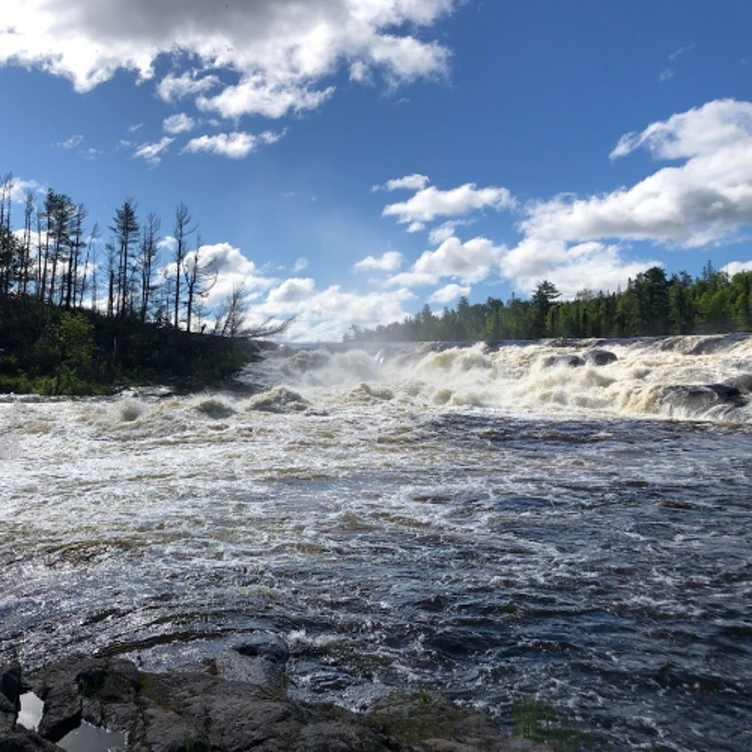 Keep it Wild - Early Spring Travel and Safety Tips