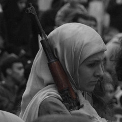 أرض الجنوب
