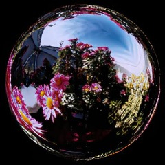 Practice w/ Buggy on WHEN FM