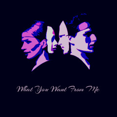 WHat You Want from Me (feat Becca C)