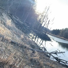 2024 2 months x Sempre Simplicidade