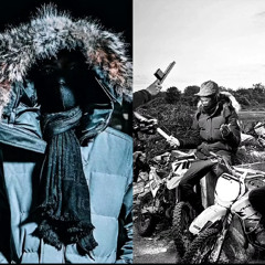 L’AR X L’Araignée 784