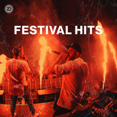 EDM Festival Hits 2021