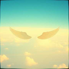 Soaring Freedom