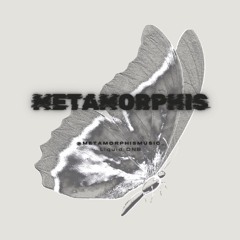 LIQUID DNB W META