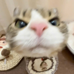 Em Nào Có Tội x Tình Ta 2 Ngã - Rmk MH