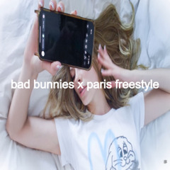 bad bunnies x paris freestyle mashup [OUT NOW SPOTIFY]