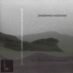 Perplexed continuum - Wandering in future empty landscapes