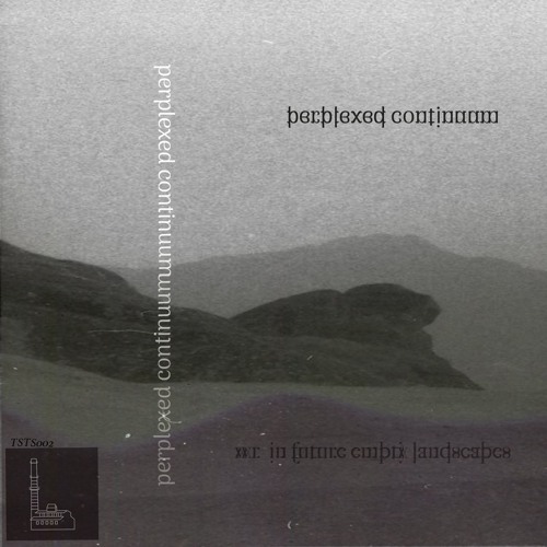 Perplexed continuum - Wandering in future empty landscapes