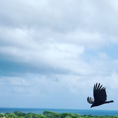 Marsha’s Birthday mix