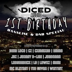 1 Year Of Diced Audio Live Set - LG