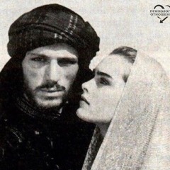ابويا شيخ العشيرة وانا بنية اميرة