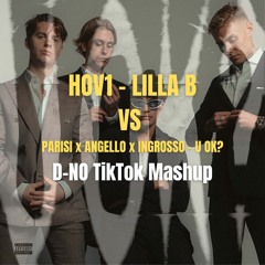 Hov1 - Lilla B vs PARISI x Steve Angello x Sebastian Ingrosso - U Ok? (D-NO TikTok Mashup)