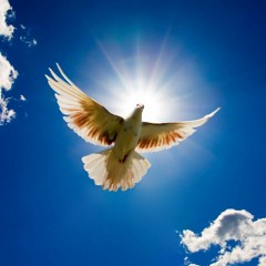 MEDITATION RAP  - A Meditation on Light with music by MX Beatz