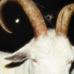 Fall in drugs TKTA cover (prod. bloomcr4zy)