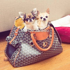 goyard