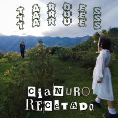 Tardes - Cianuro Recetado & Parka.