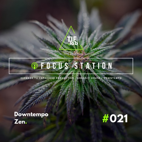 Downtempo Zen #021 - Melodies for the Mind | 🛋️ Deep Focus dj mix session 慢摇