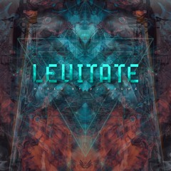 Dj Prowe - Levitate