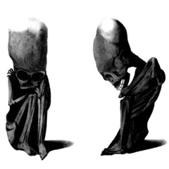 Vėlė Lure (isé & Dozefy)