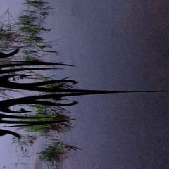 saturacion))