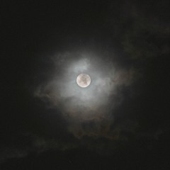 Moon Drench