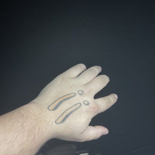 I DID WHAT I WANTED TO