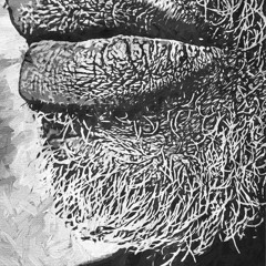 BLUE MARVEL (Appetizer)\pt2